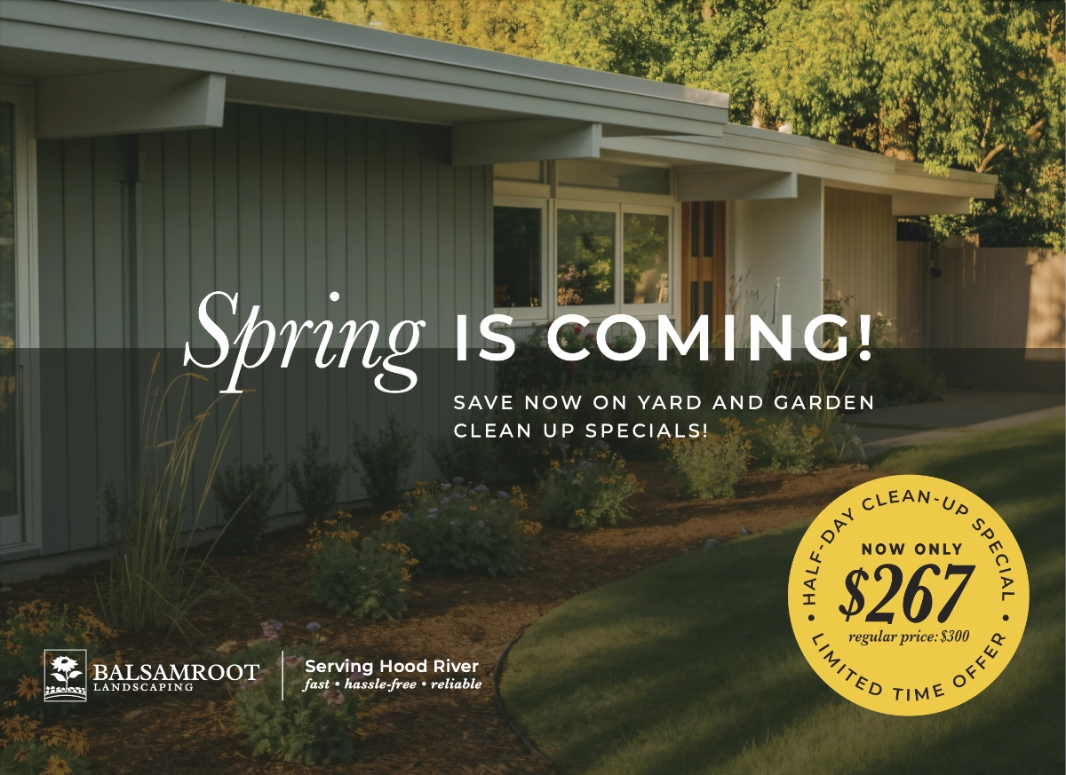 Balsamroot Landscaping EDDM mailer, front